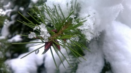 Jak fotit ve špatném počasí?